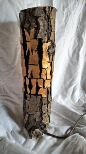 Transmutation.Je suis en cerisier.180€