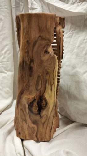 Si on. Scions. Sillons. Châtaignier. 