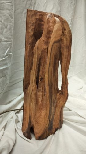 castanea  châtaignier 150€_