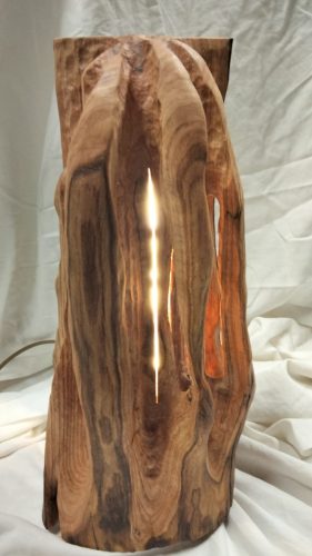 castanea  châtaignier 150€_