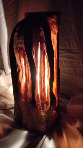 castanea  châtaignier 150€_