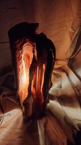 castanea  châtaignier 150€_