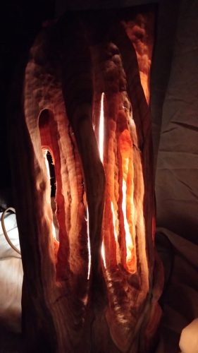 castanea  châtaignier 150€_