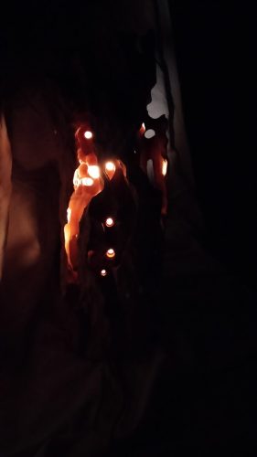 Concrétions philosophiquesabricotier 190€