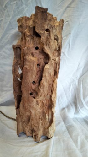 Concrétions                                        philosophiques 190€abricotier 190€