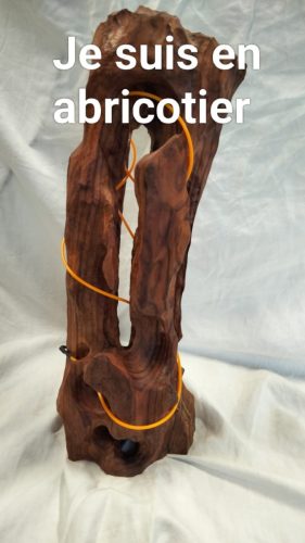 Lierre lumière110€