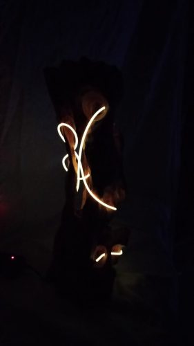 Lierre lumière110€